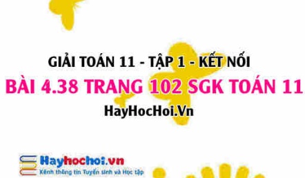 Giải bài 4.38 trang 102 Toán 11 tập 1 SGK Kết nối tri thức